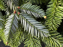 Load image into Gallery viewer, Joyful Gatherings Wreath