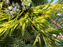 Load image into Gallery viewer, All Spruced Up Custom Wreath