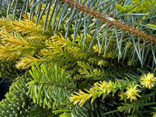 Load image into Gallery viewer, Moonlit Night Custom Wreath