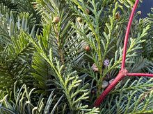 Load image into Gallery viewer, Snow-Kissed Custom Wreath