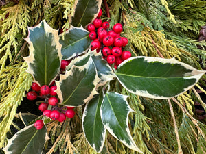 Winter Sun Custom Wreath