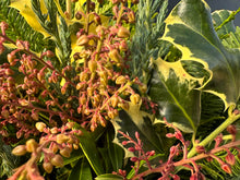 Load image into Gallery viewer, 8&quot; Festive Harvest Wreath
